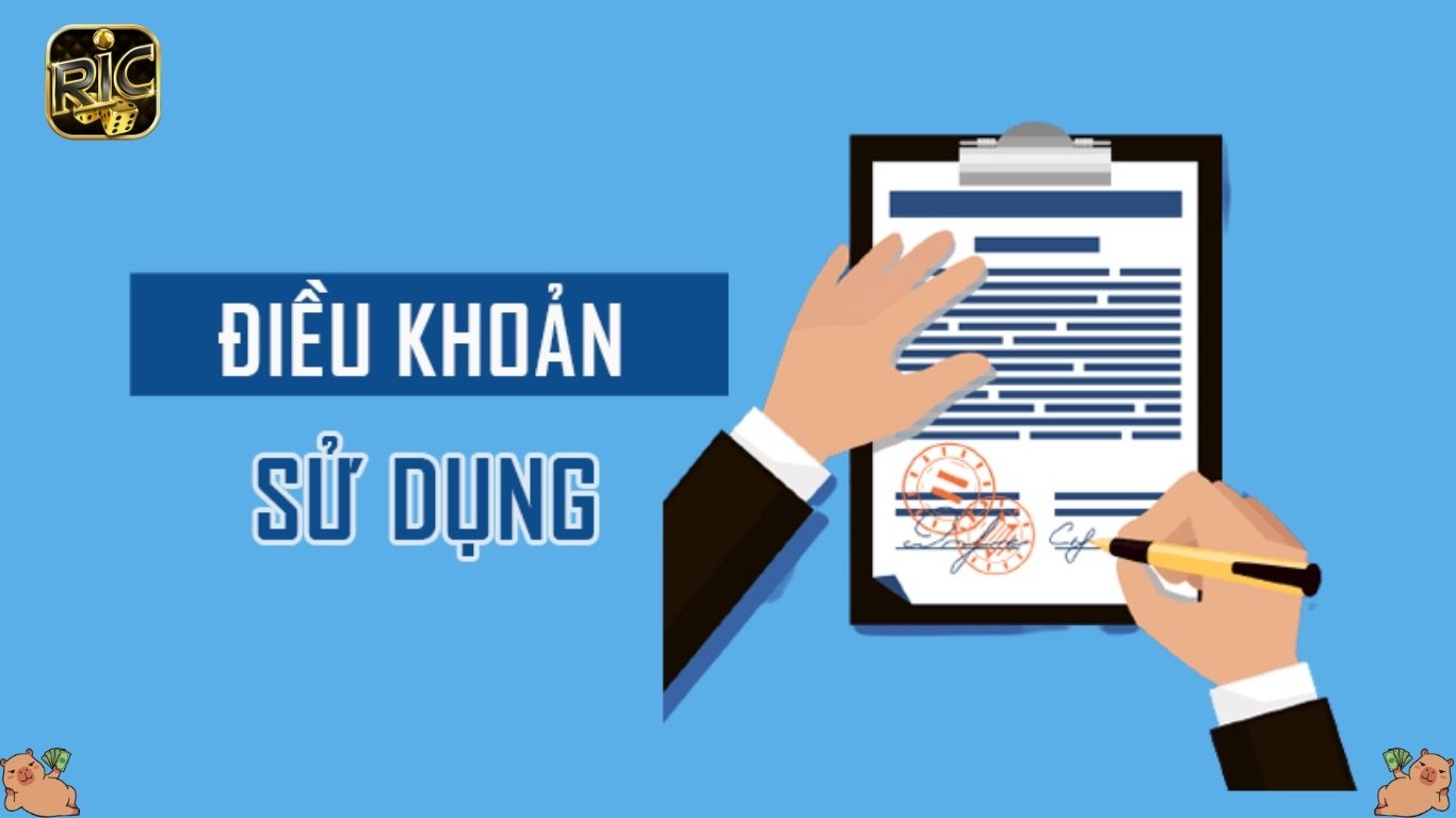 Điều khoản sử dụng Ricwin là gì?