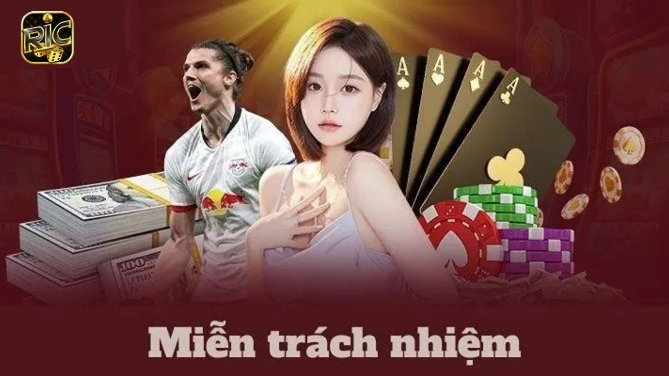 Chính sách miễn trừ trách nhiệm Ricwin là gì?